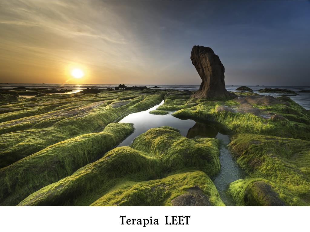 Terapia LEET (Liberación de Energías y ET)