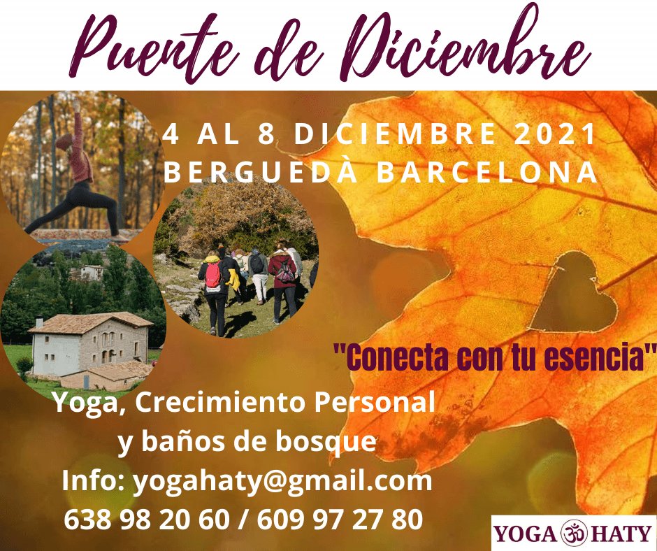 PUENTE DE DICIEMBRE. Yoga, Crecimiento Personal y Baños de Bosque