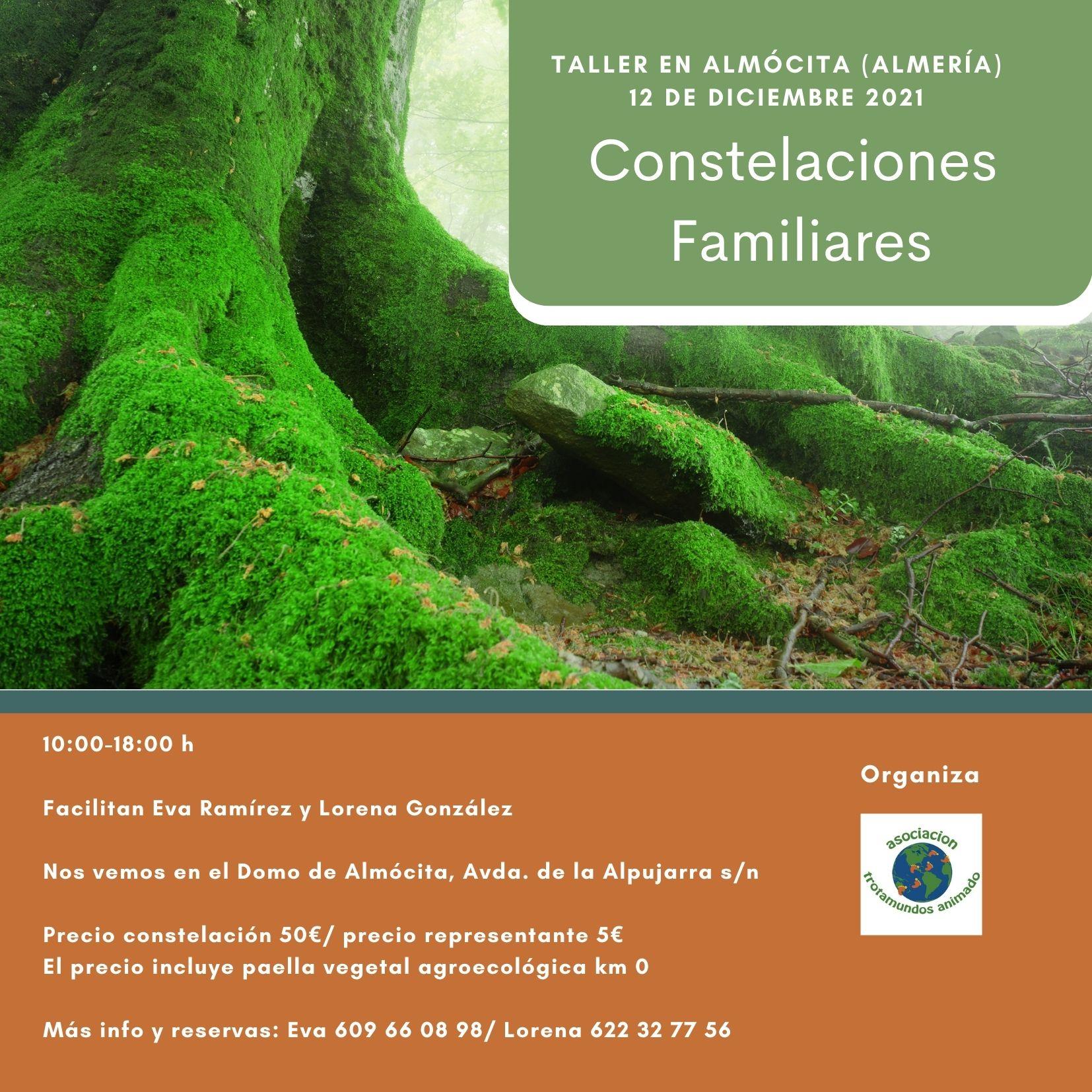 Taller de Constelaciones Familiares