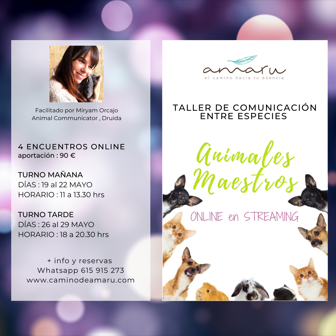 Taller de Comunicación con Animales ONLINE en Streaming