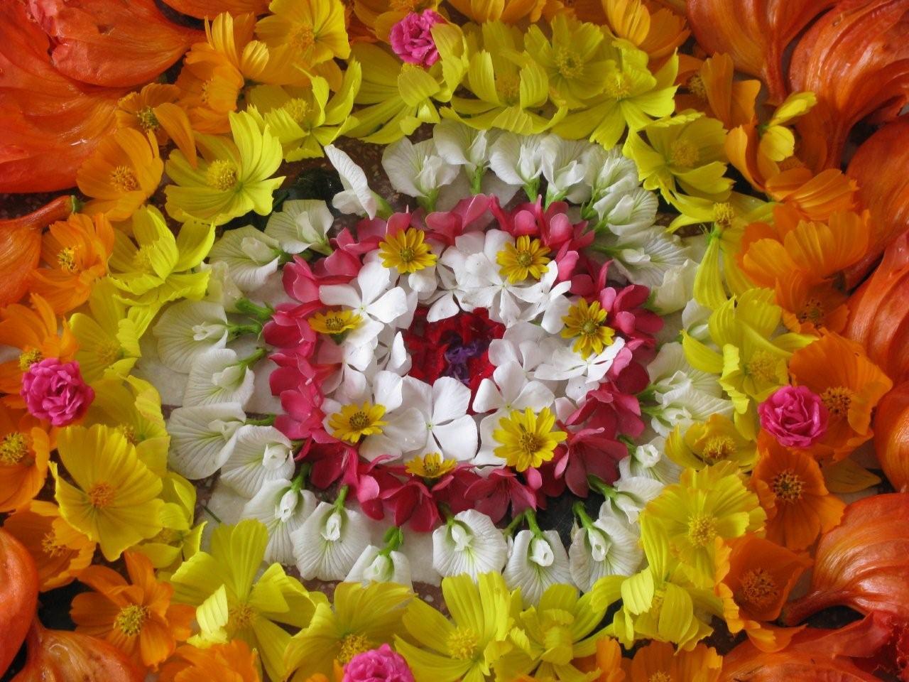 FLORES DE BACH Presencial/On line Fecha a concretar 8 Mod 3h 200€