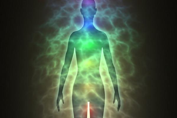 REIKI NIVEL 1 5h 60€