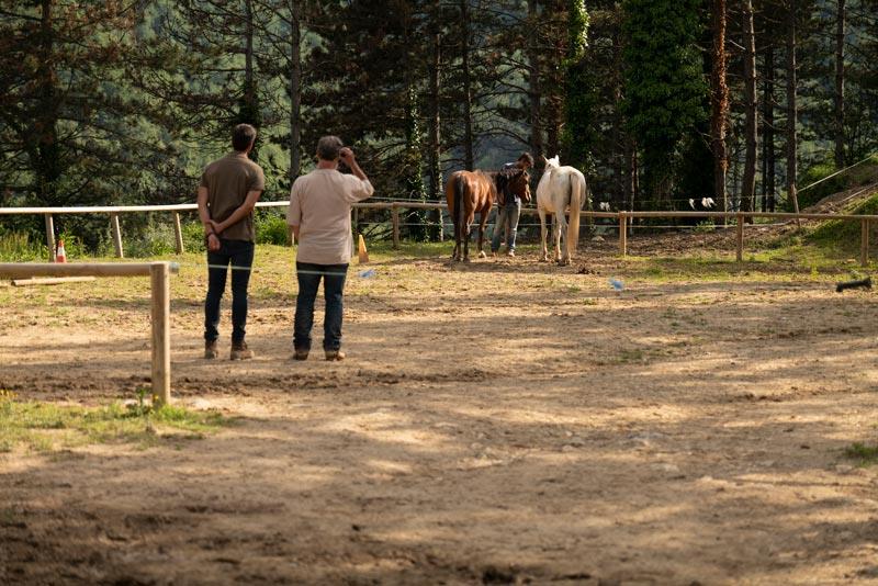 Taller de Inteligencia Emocional con Caballos