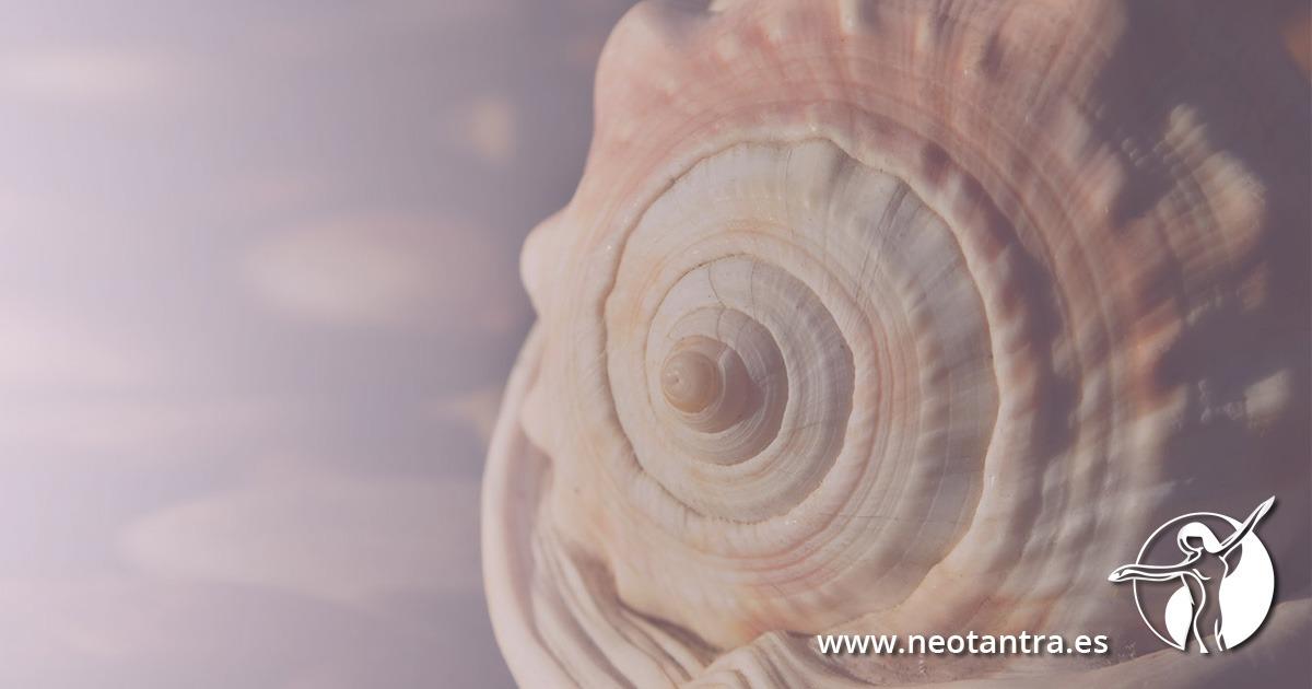 El Ser Multiorgásmico | Formación Neo Tantra