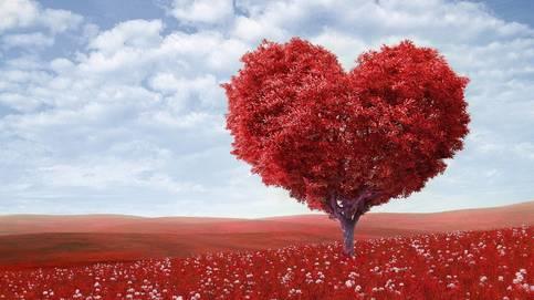 SINTONIZANDO CON LOS ÓRDENES DEL AMOR
