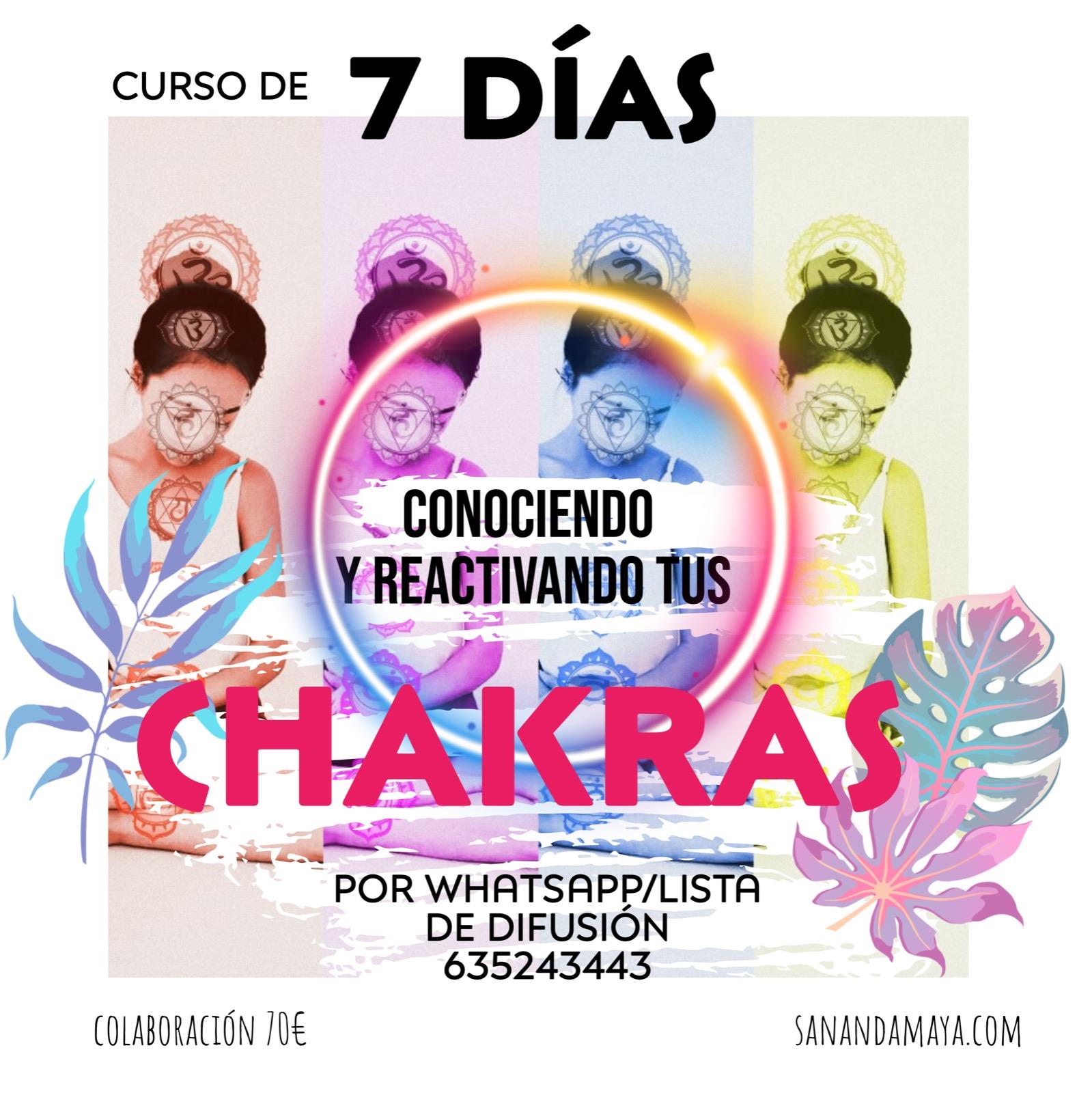 CONOCIENDO Y REACTIVANDO TUS CHACRAS