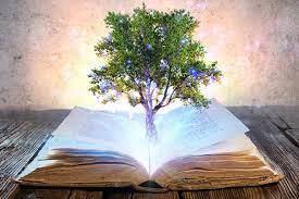 Curso Registro Akashicos con el espiritu de Gaia