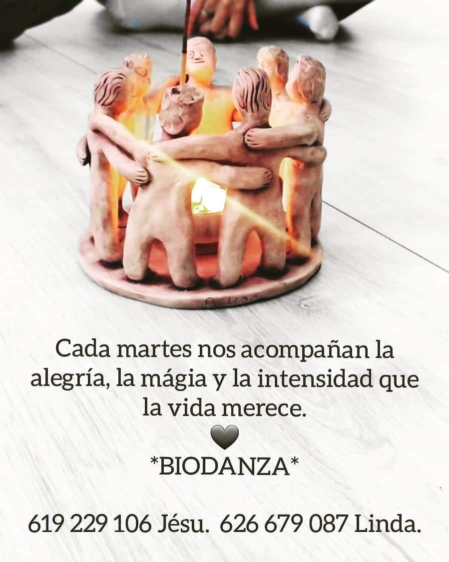 Clases semanales de Biodanza