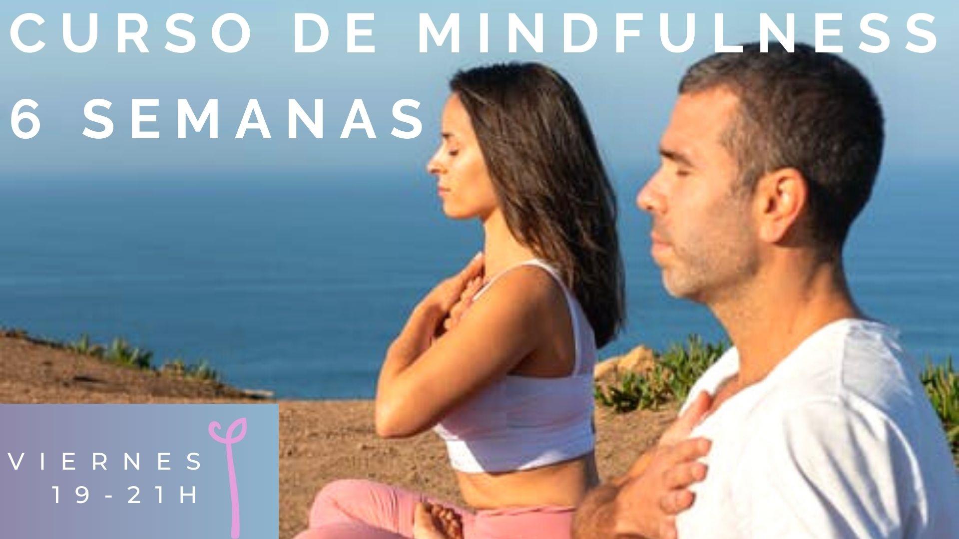 Mindfulness 6 semanas