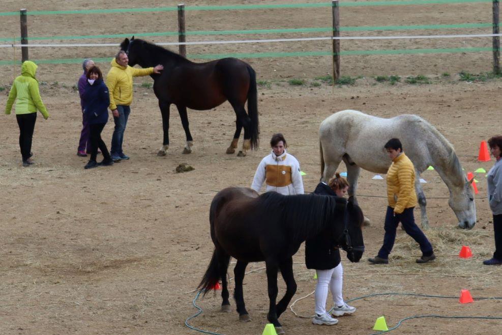 Retiro , MI NUEVO YO    Siente, Juega , Danza