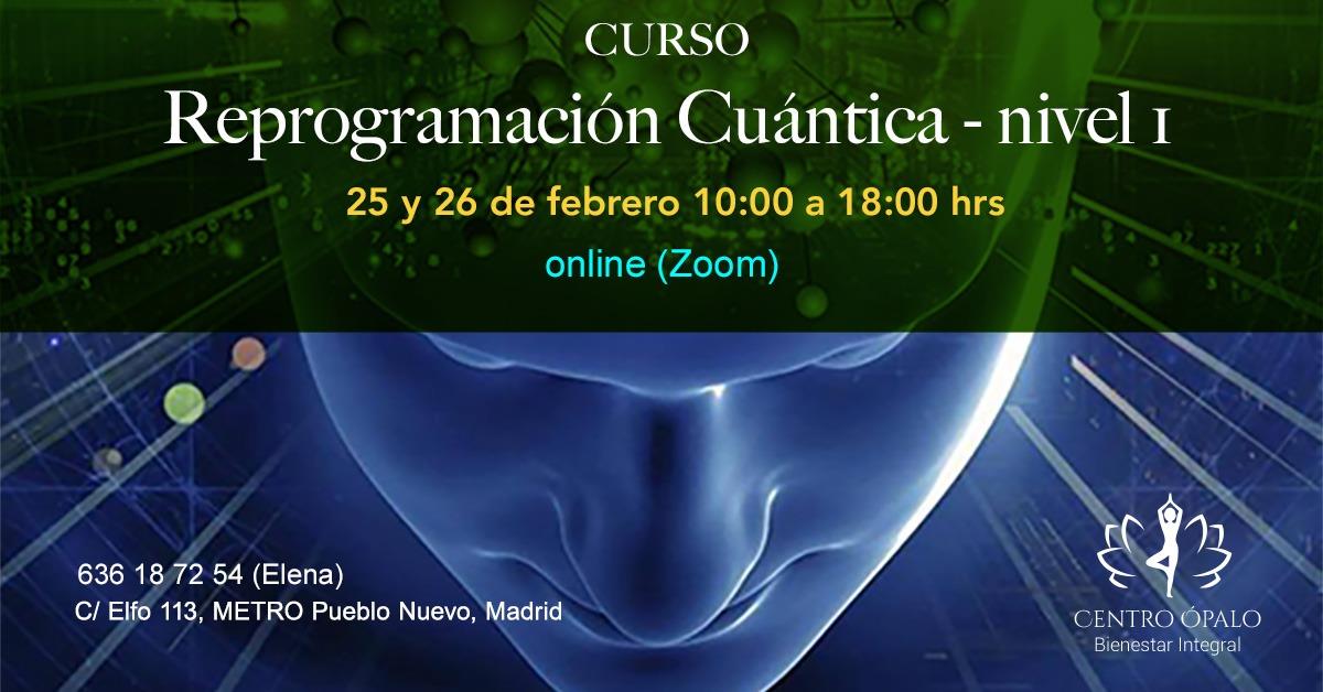 Reprogramación Cuántica - Nivel I