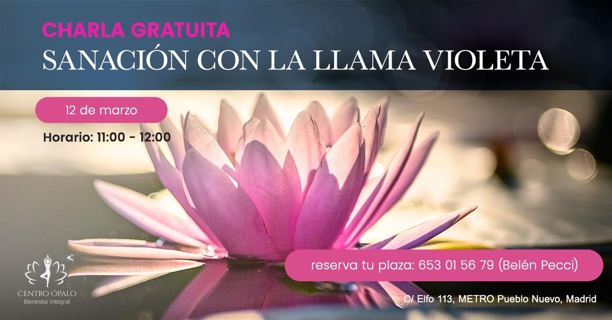 ENERGÍA DE LA LLAMA VIOLETA
