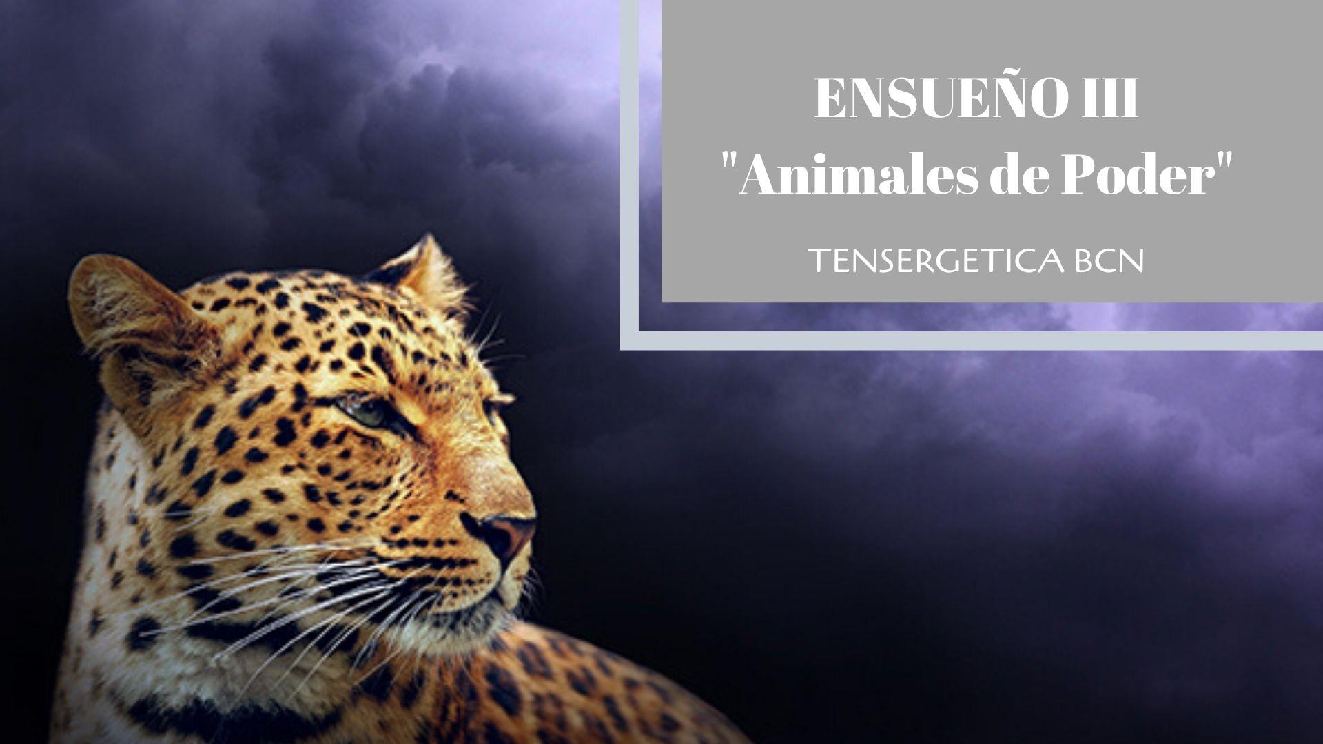 LA MAESTRÍA DEL ENSUEÑO - ENSUEÑO III ANIMALES DE PODER