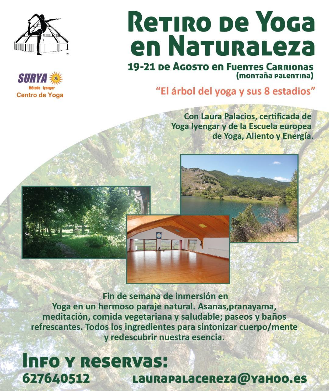 El árbol del Yoga y sus 8 estadios