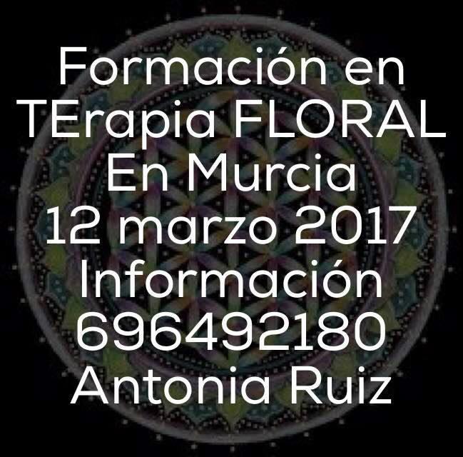 formación en terapìa floral