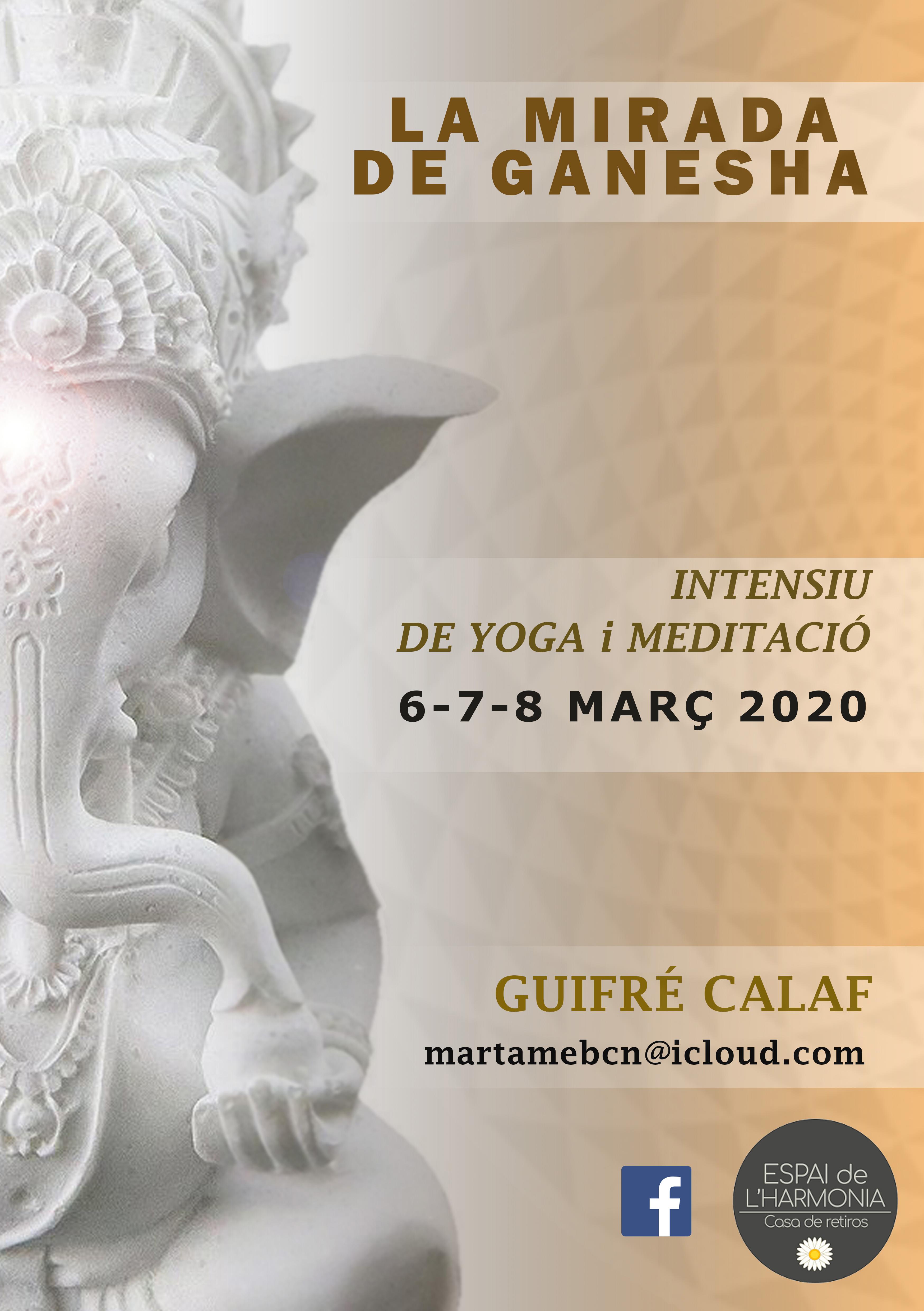 La Mirada de Ganesha