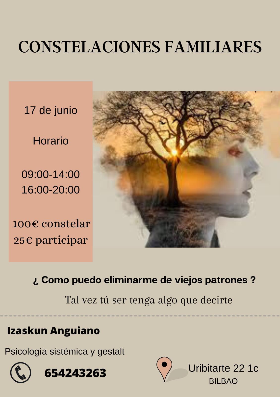 CONSTELACIONES FAMILIARES 17 DE JUNIO BILBAO