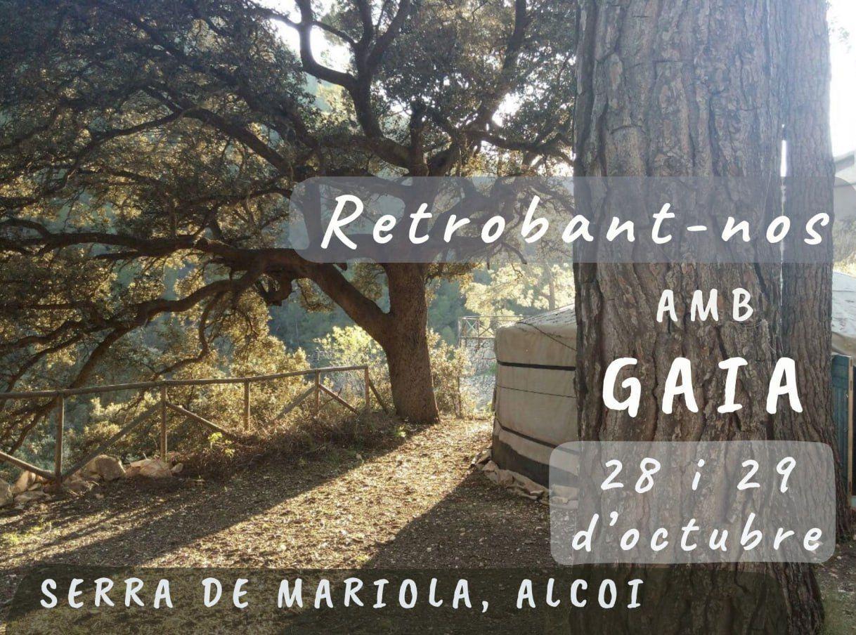 Reencontrándonos con Gaia