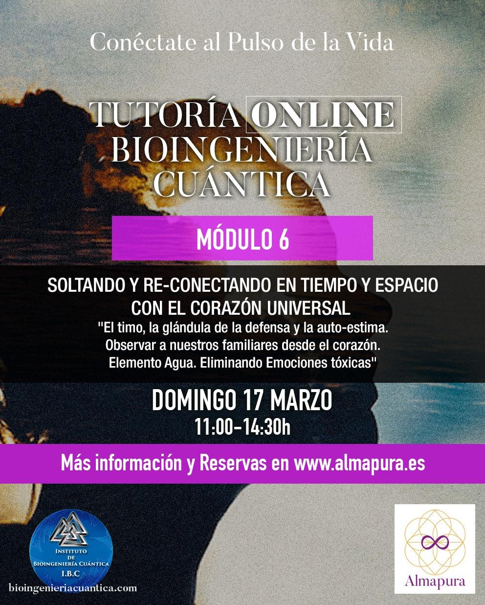 Taller de BioIngeniería Cuántica Básica Aplicada
