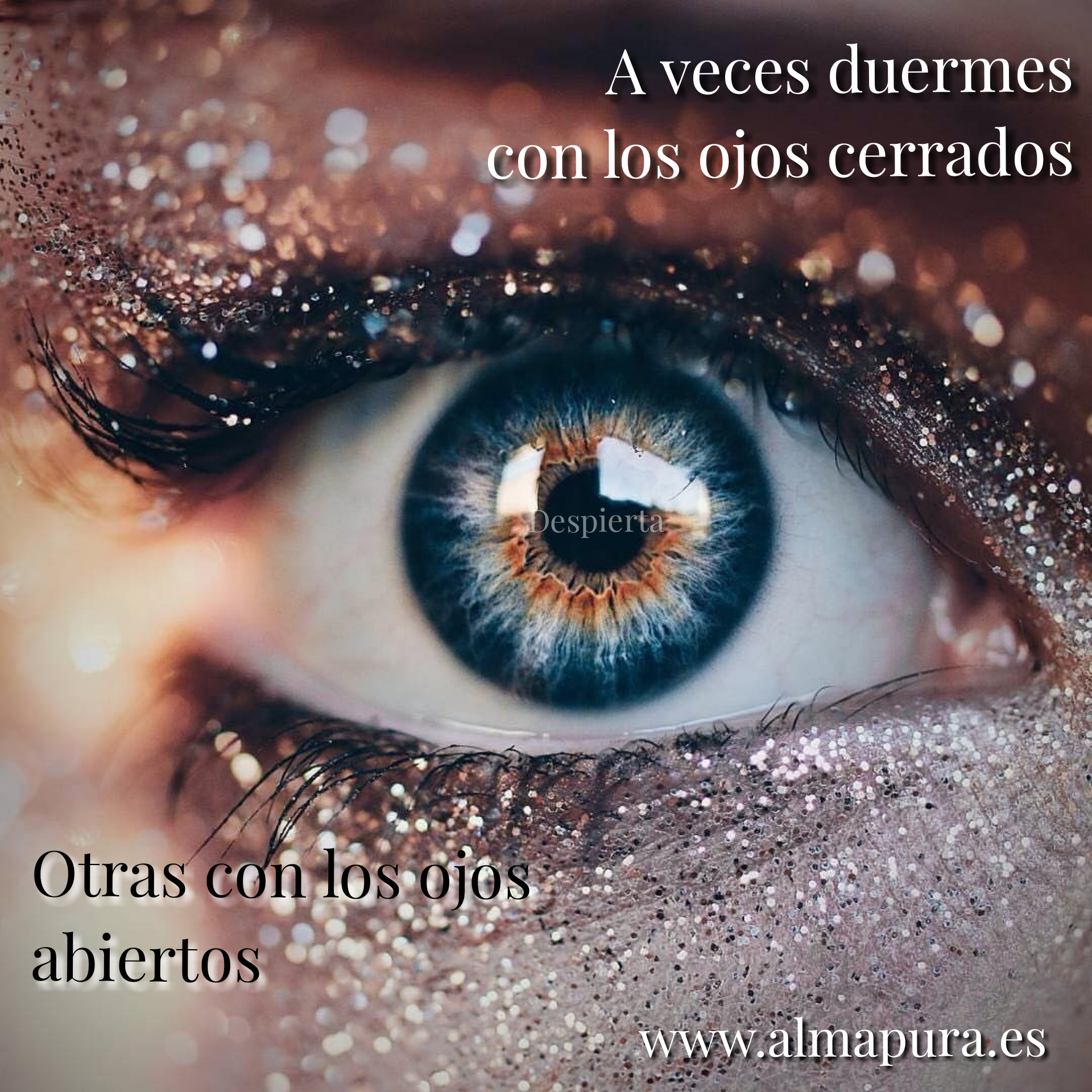 PINEAL, EL DESPERTAR DE UNA MENTE ILUMINADA