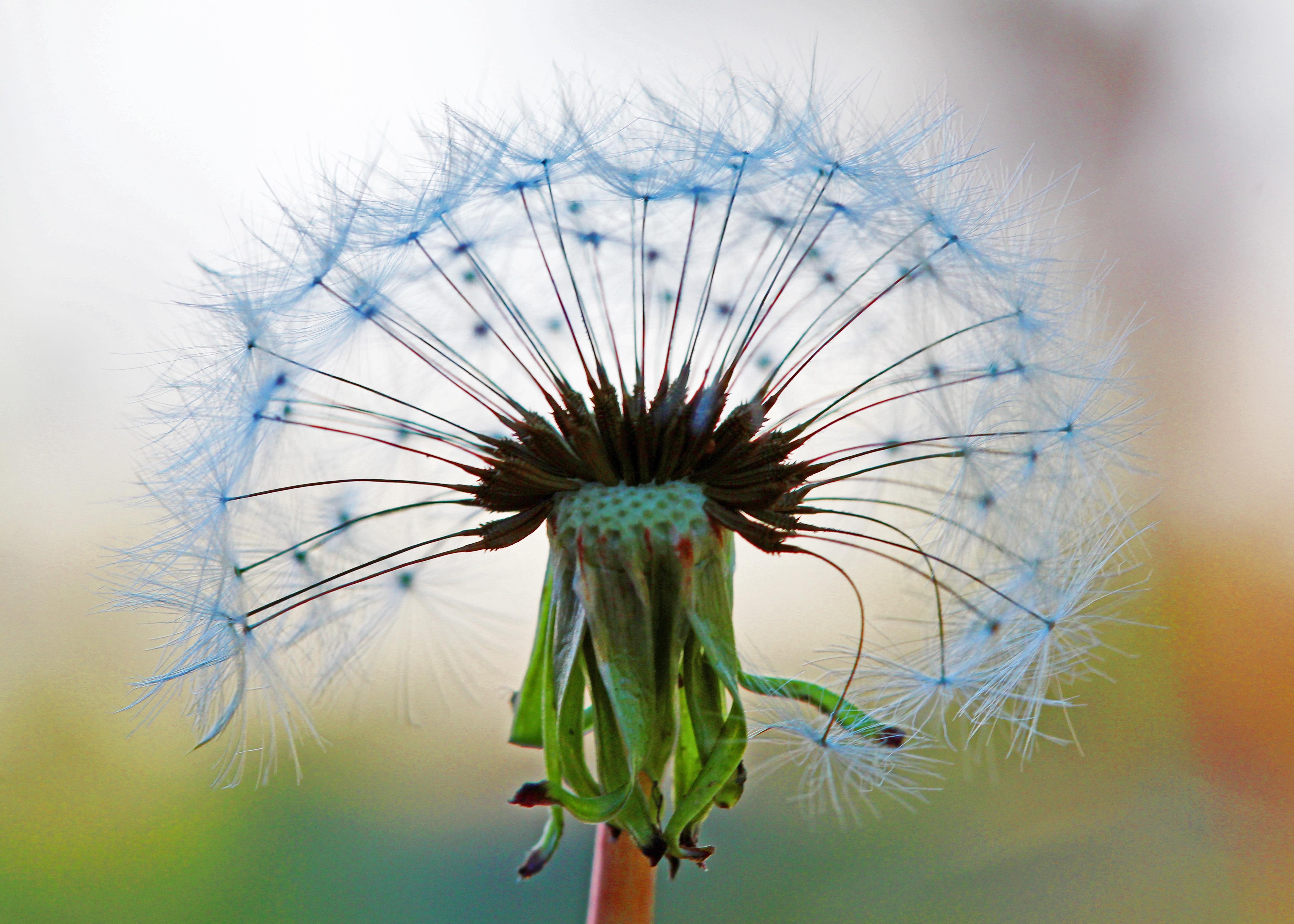Mindfulness para el Éxito.