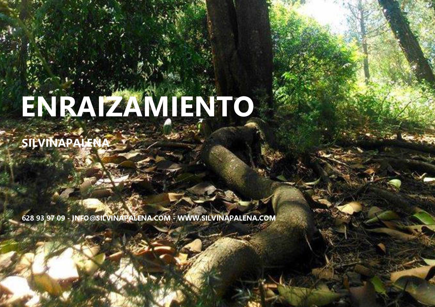 ENRAIZAMIENTO. Simbólo Anclaje a Tierra©