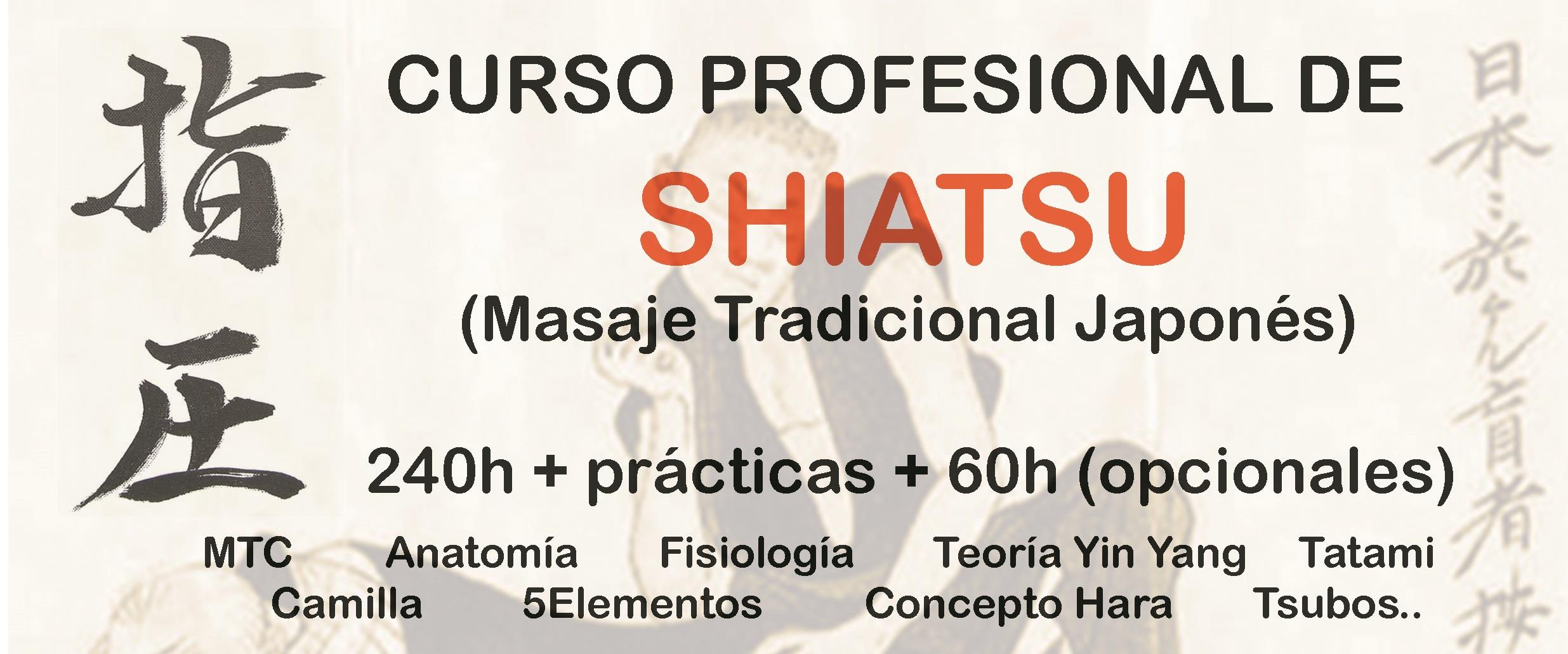 Curso Profesional de Shiatsu