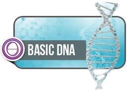 Thetahealing ADN Básico
