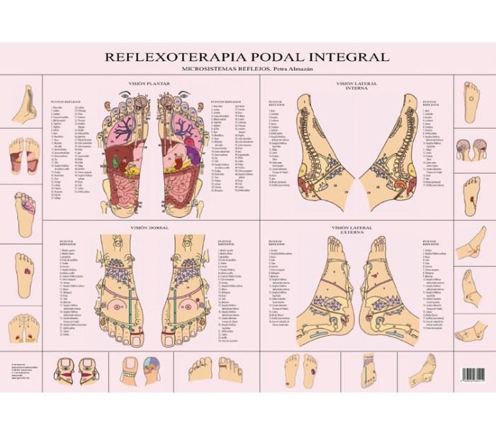 REFLEXOLOGIA PODAL