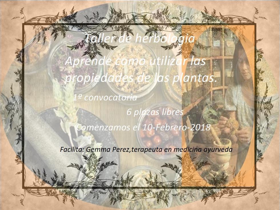 Herbologia y alquimia magica