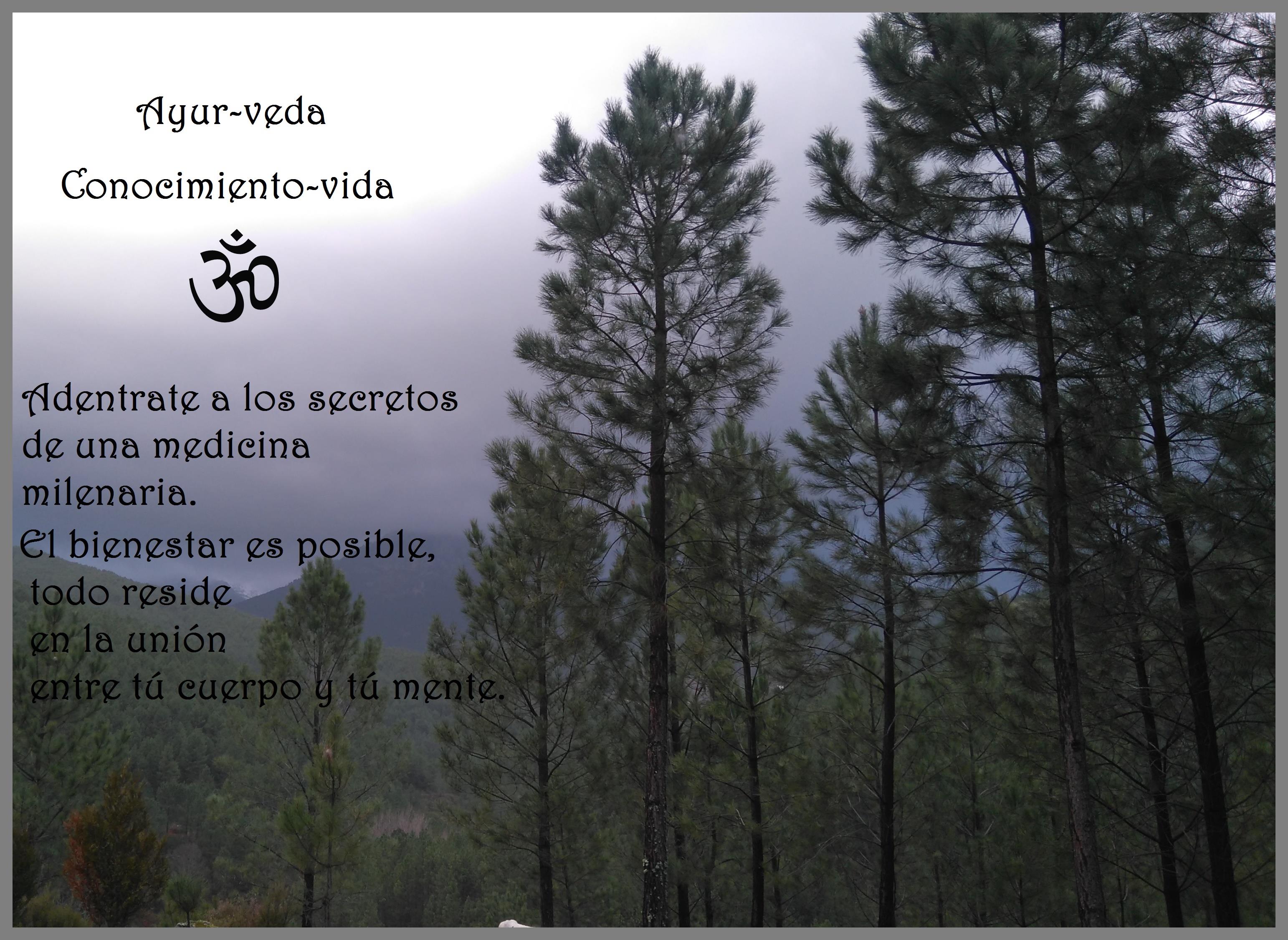 Taller Ayurveda On-line
