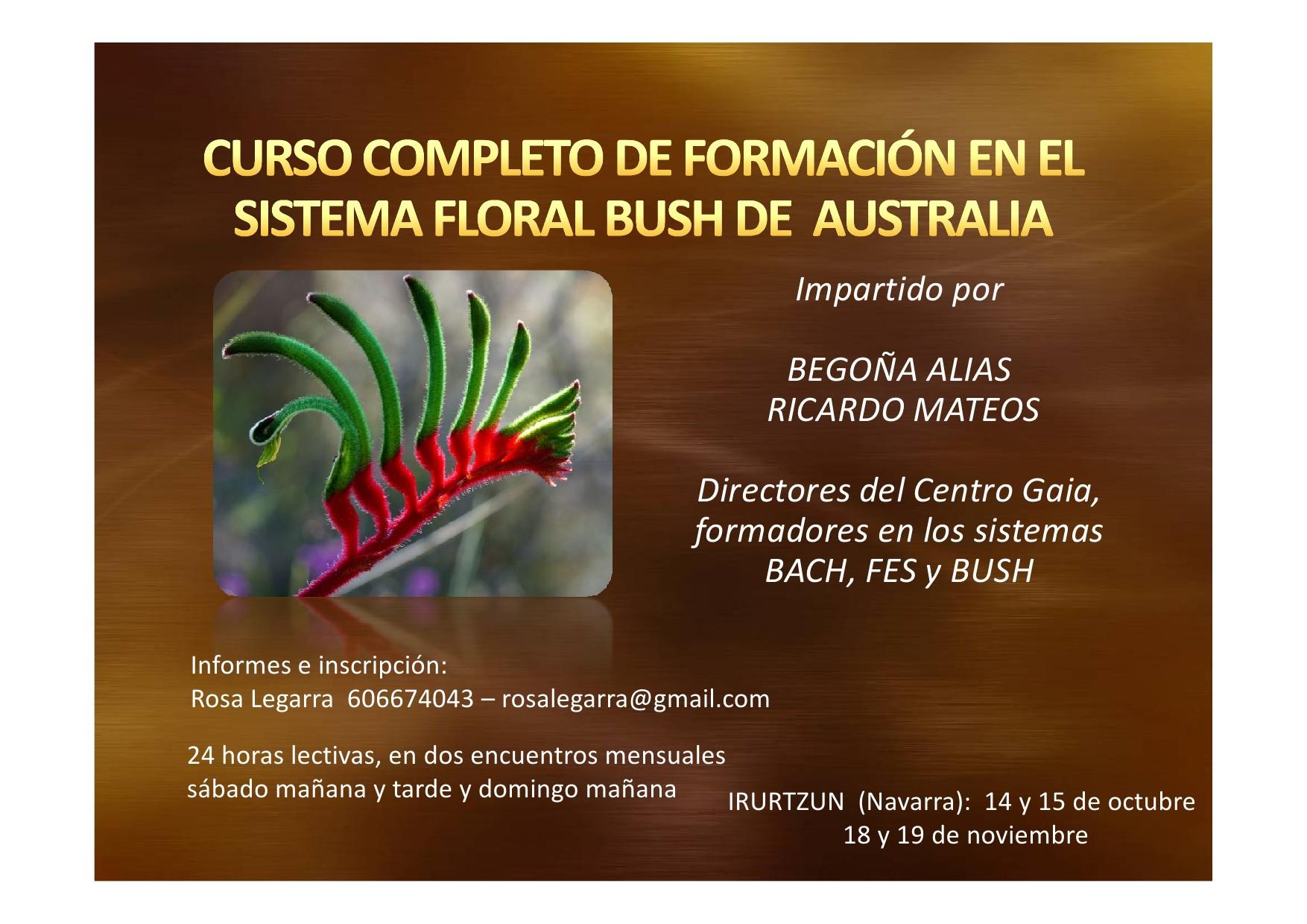 FORMACIÓN COMPLETA SISTEMA FLORAL DE BUSH AUSTRALIA.