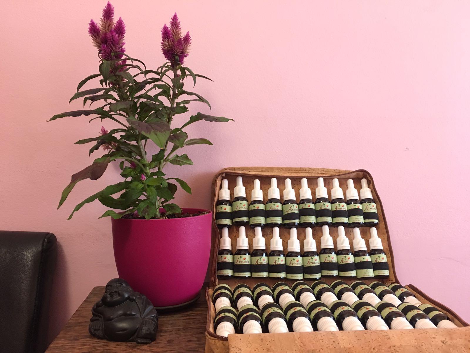 INICIACIÓN A LAS FLORES DE BACH
