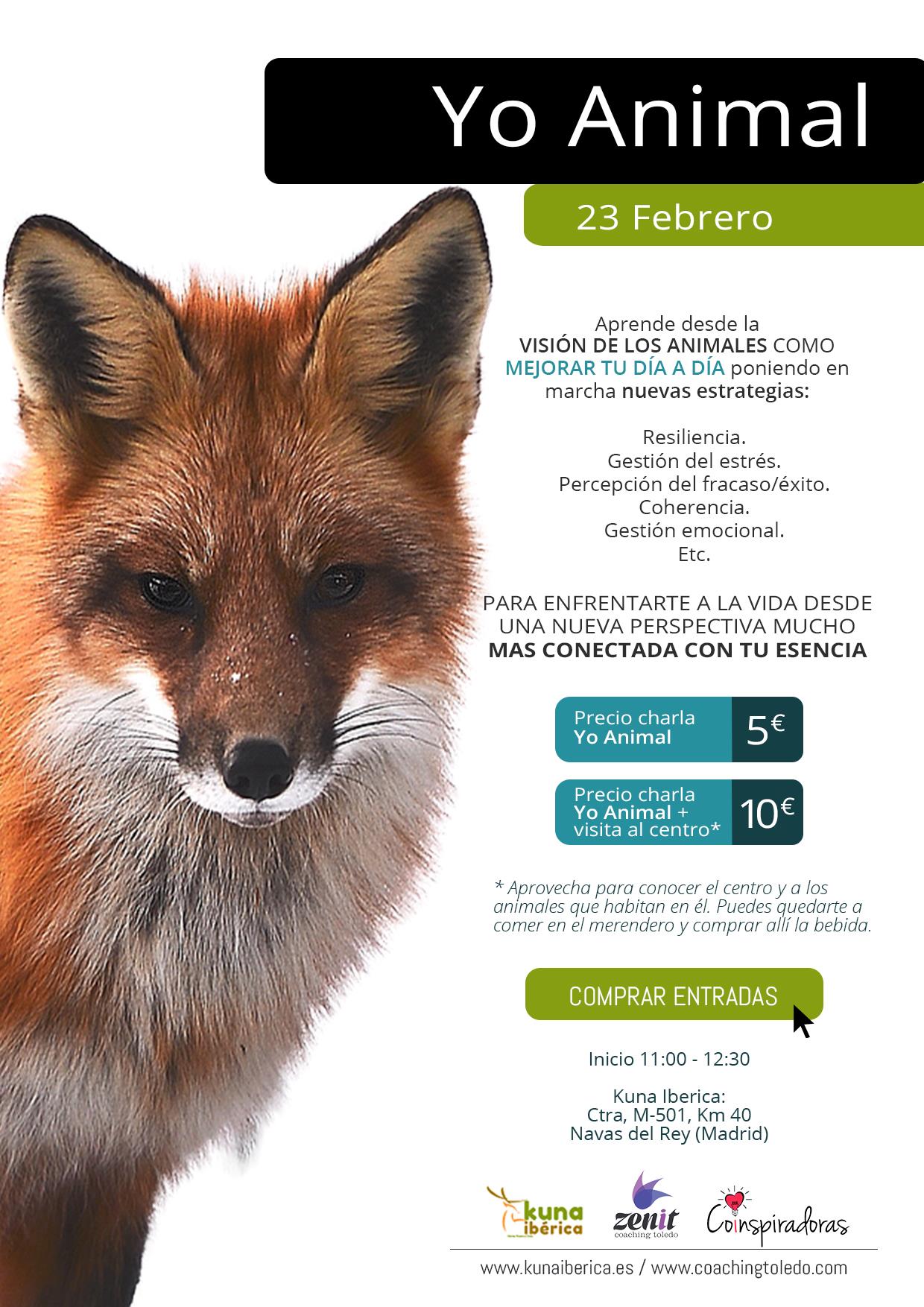 Yo Animal