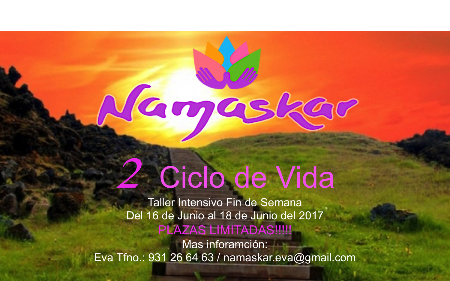 2 ciclo de vida