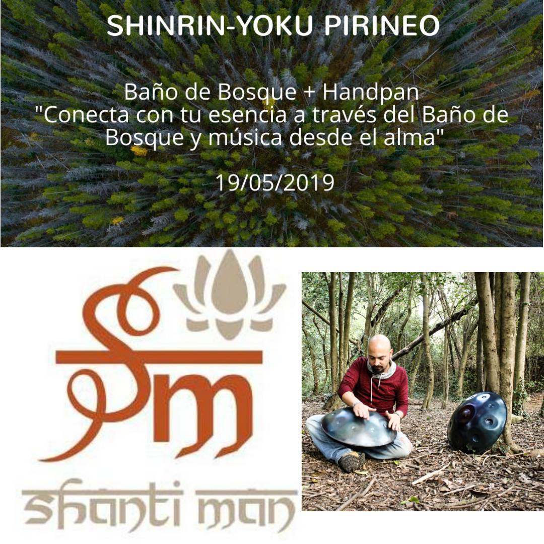 Baño de Bosque+Handpan