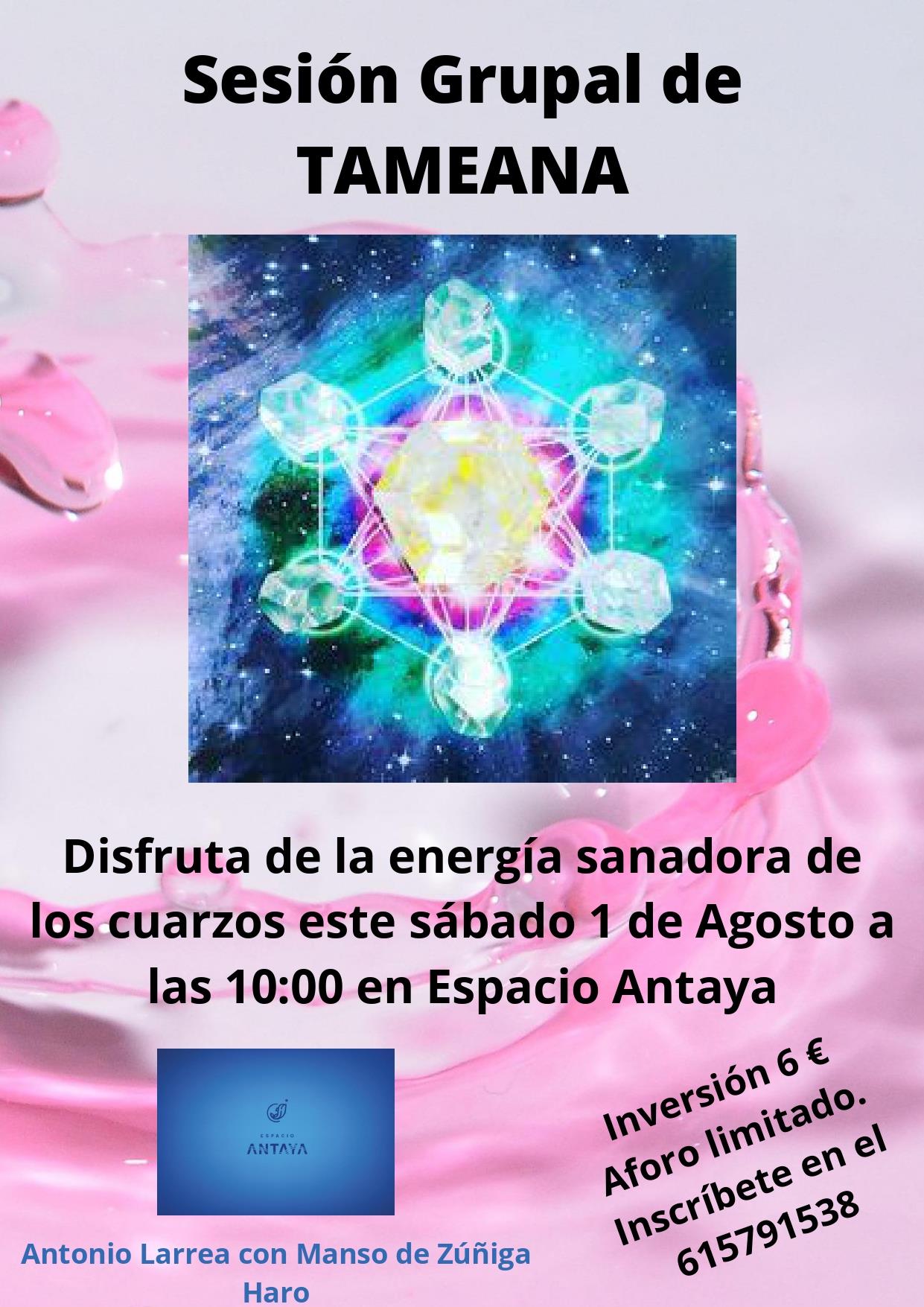 Sesión grupal de TAMEANA