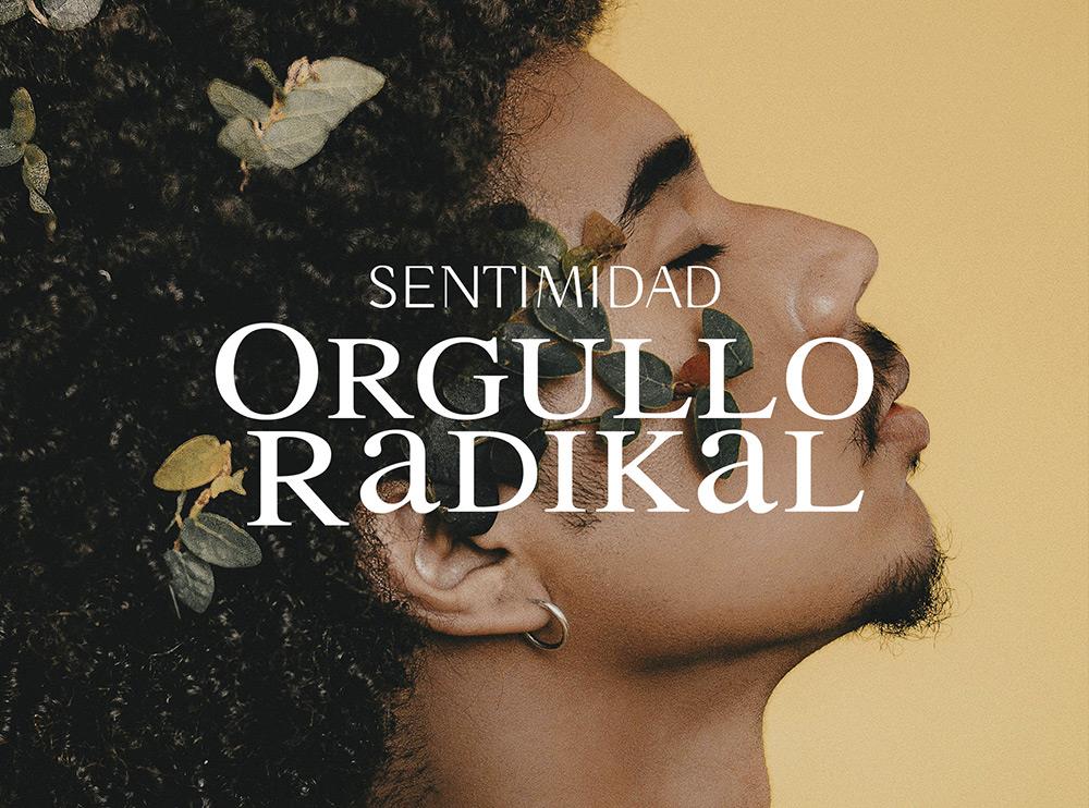 Orgullo Radikal - retiro GTBIAQ+ de Intimidad - Pride 2026