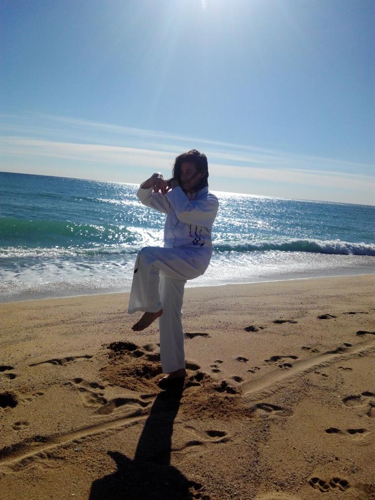 TALLER 5 Animales de Qi Gong