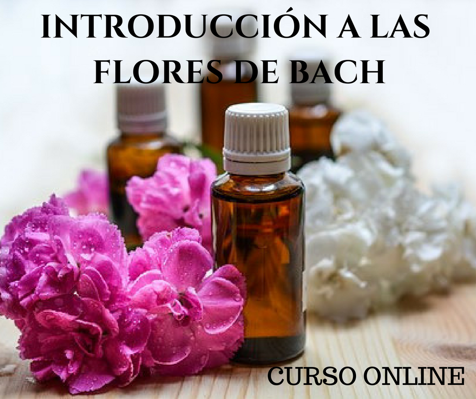 CURSO DE FLORES DE BACH acreditado por APTN-Cofenat