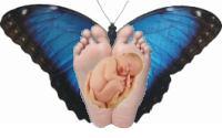 TÉCNICA METAMORFICA - CENTRO XOLAR ZANA - LAS ROZAS MADRID