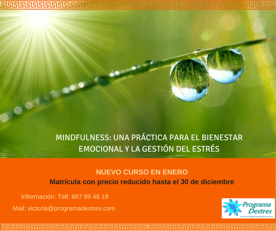Mindfulness para gestión de estrés en Vigo