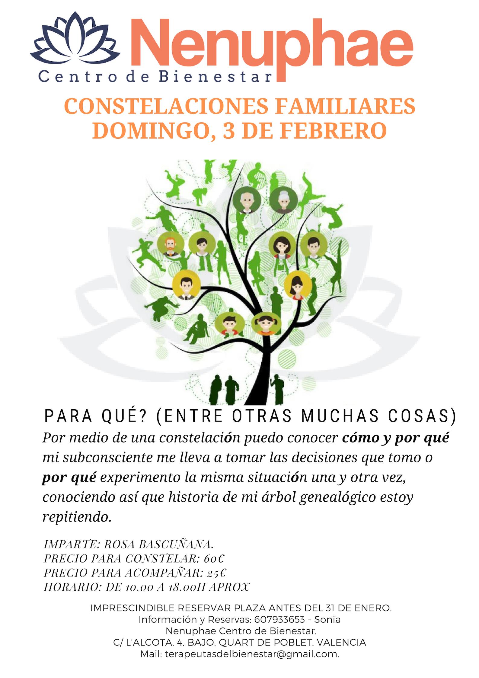 Constelaciones Familiares