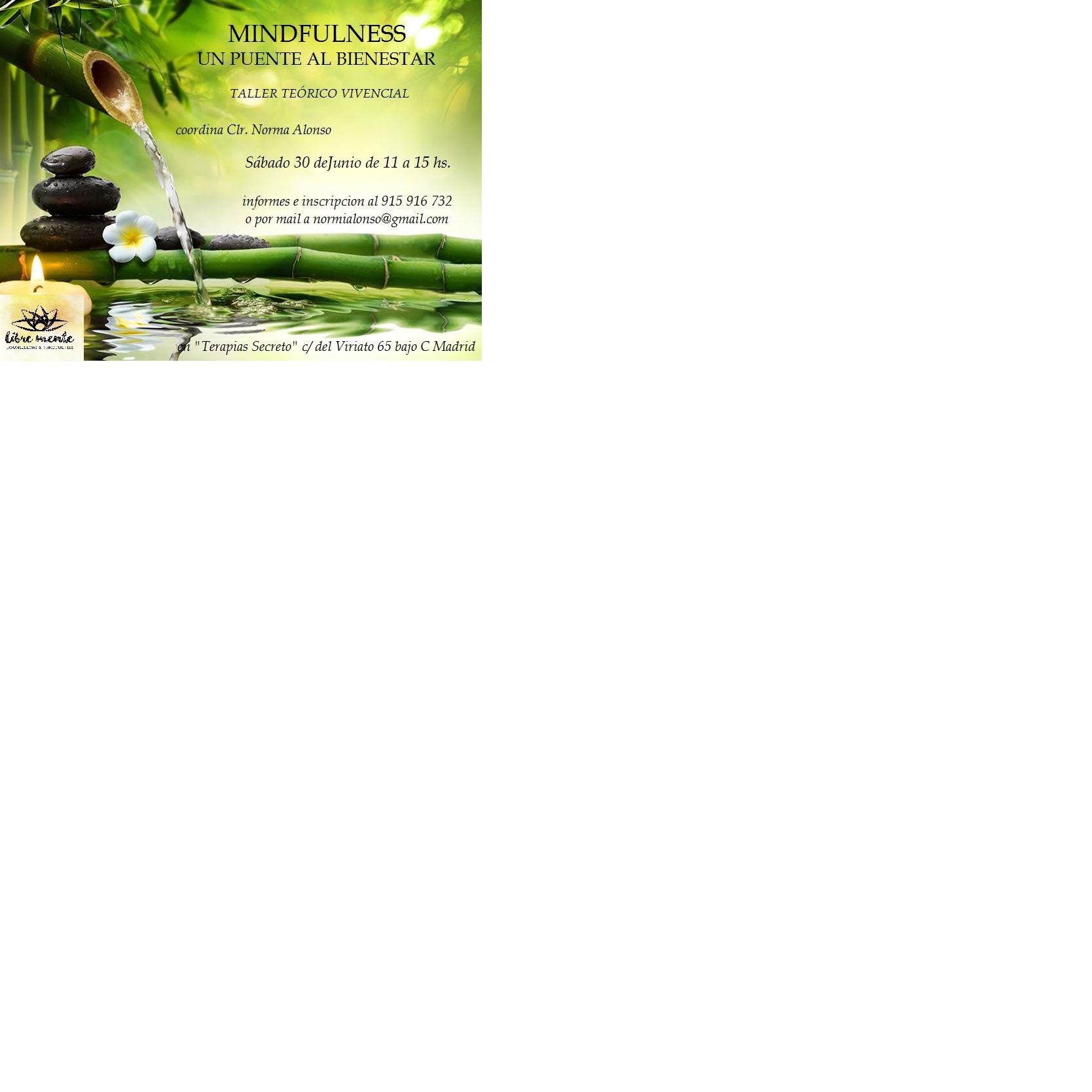 MINDFULNESS...un puente al bienestar