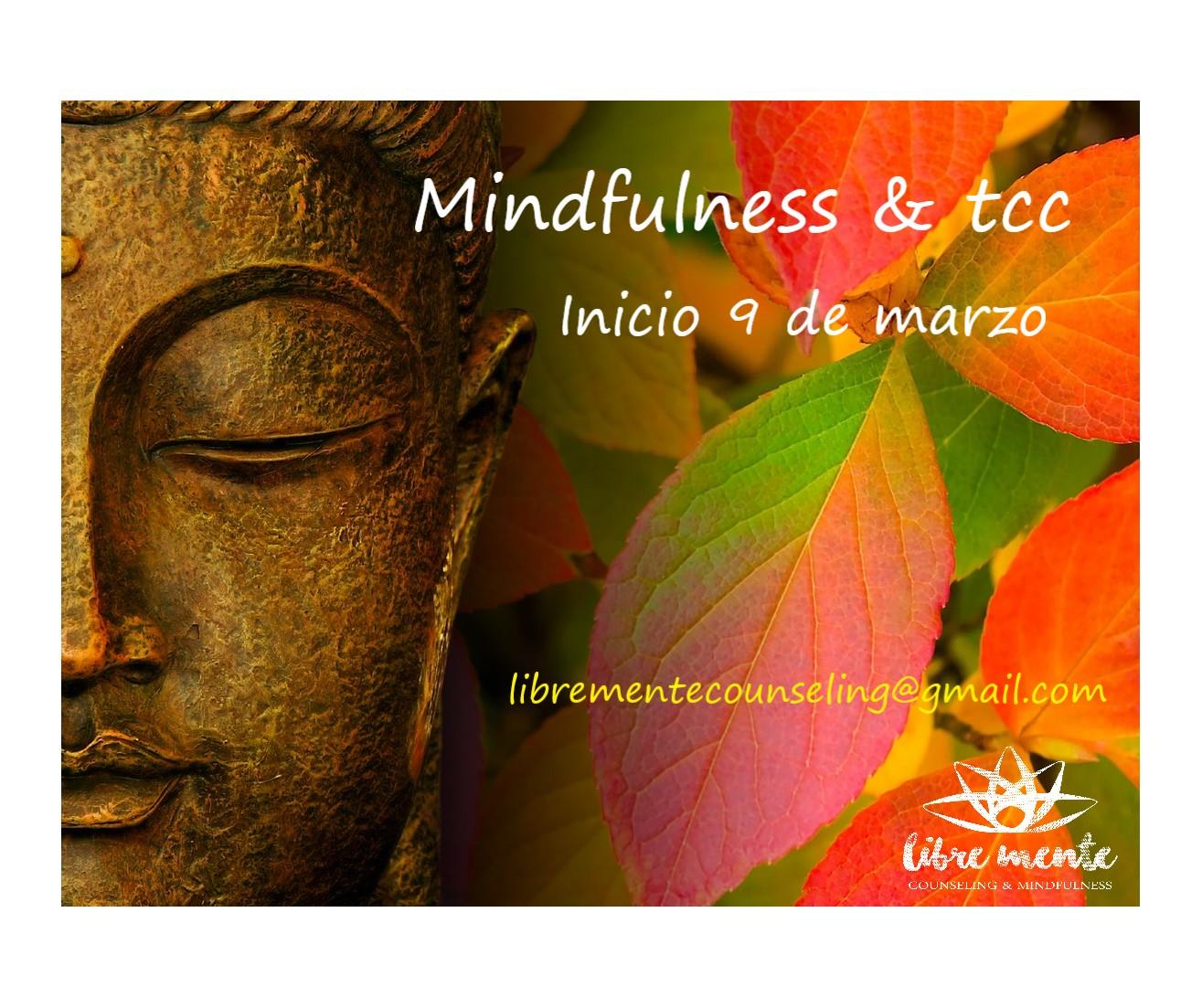 Mindfulness & Tcc -virtual-