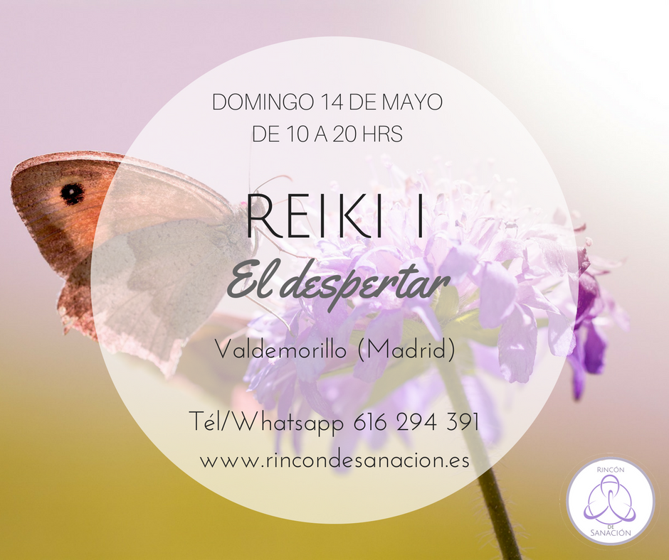 REIKI I - EL DESPERTAR