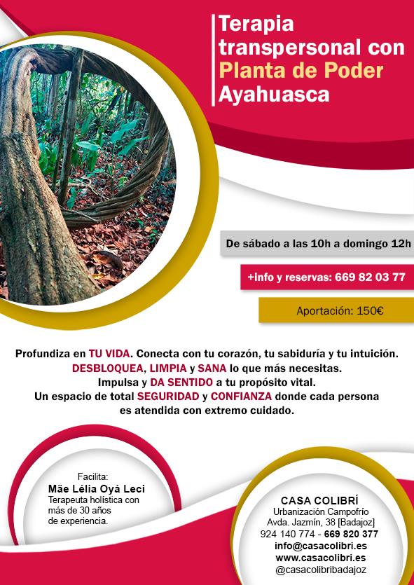 Trabajo Terapéutico con Planta de Poder Ayahuasca