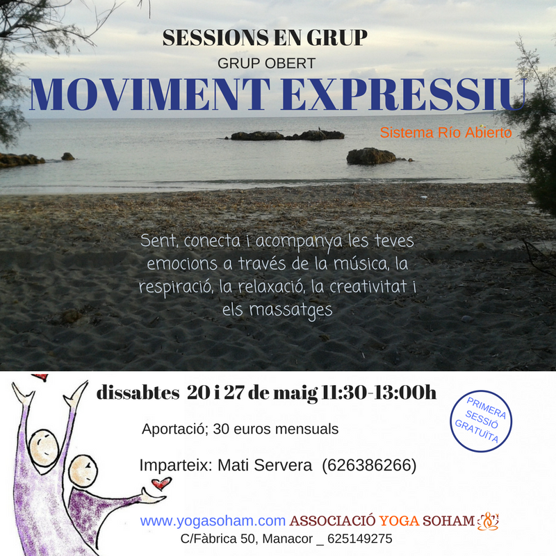 Moviment expressiu (Sistema Río Abierto)