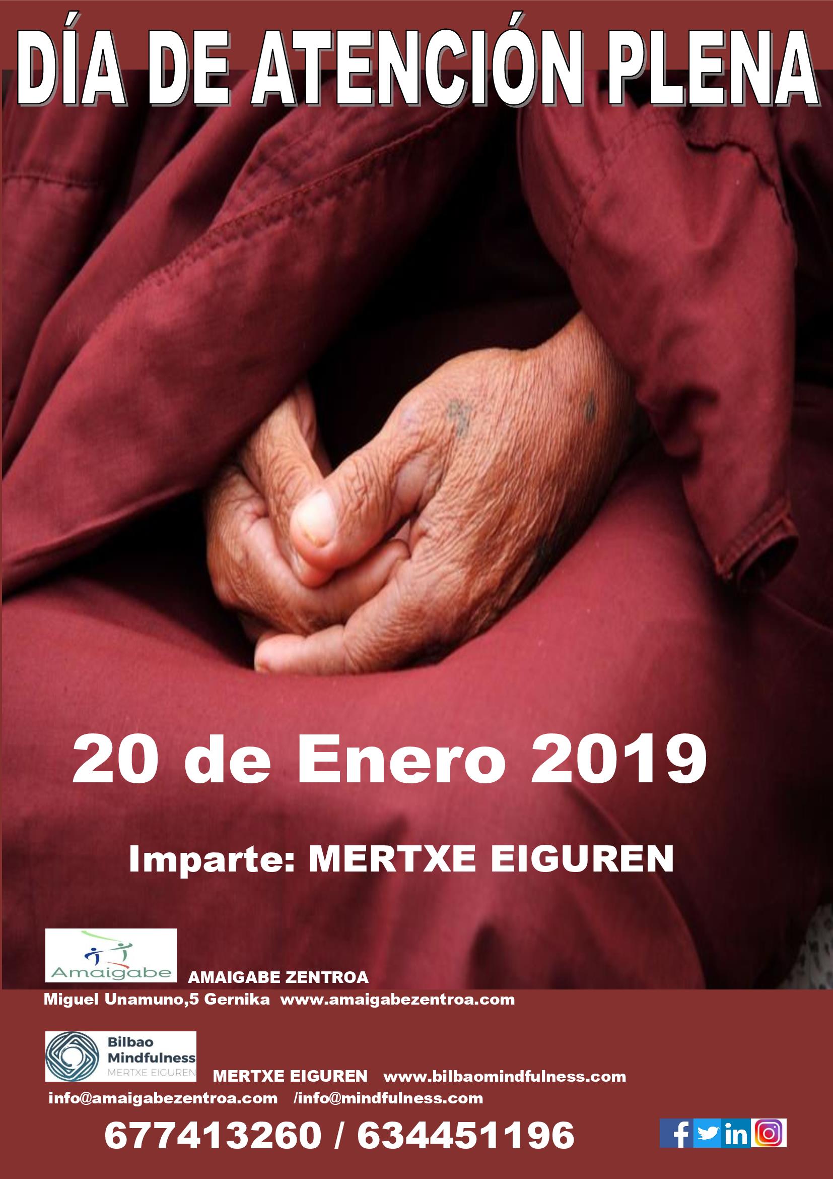 Dia de Atencion Plena