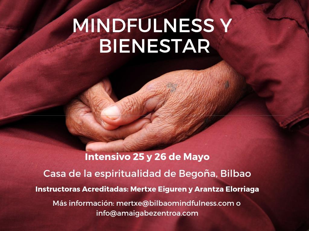MINDFULNESS Y BIENESTAR